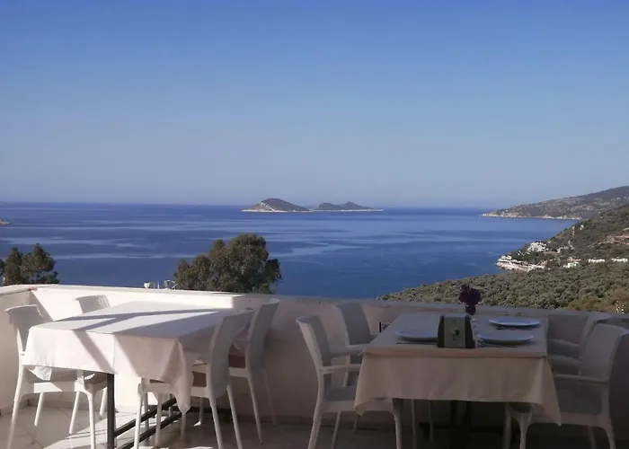Sevgi Kalkan