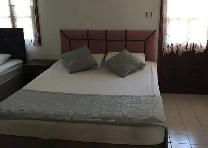 Sevgi Kalkan