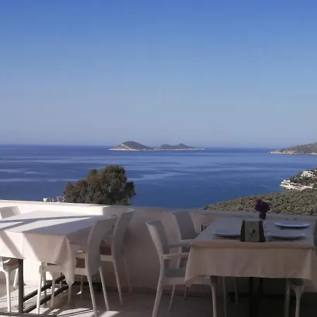 Sevgi Kalkan